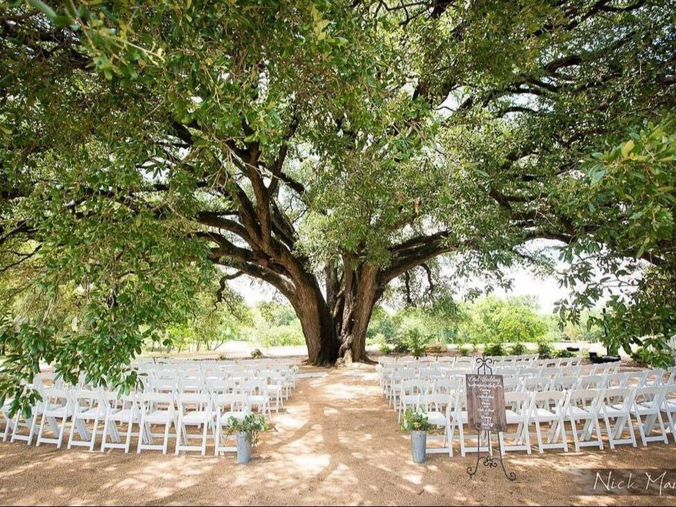 Wedding under the tree at Stonebridge Wedding Venue in Blum, TX